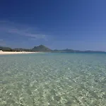 Roberta Villa *