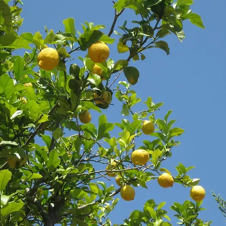 Villa Roberta Costa Rei