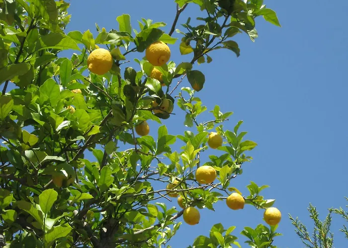 Villa Roberta Costa Rei